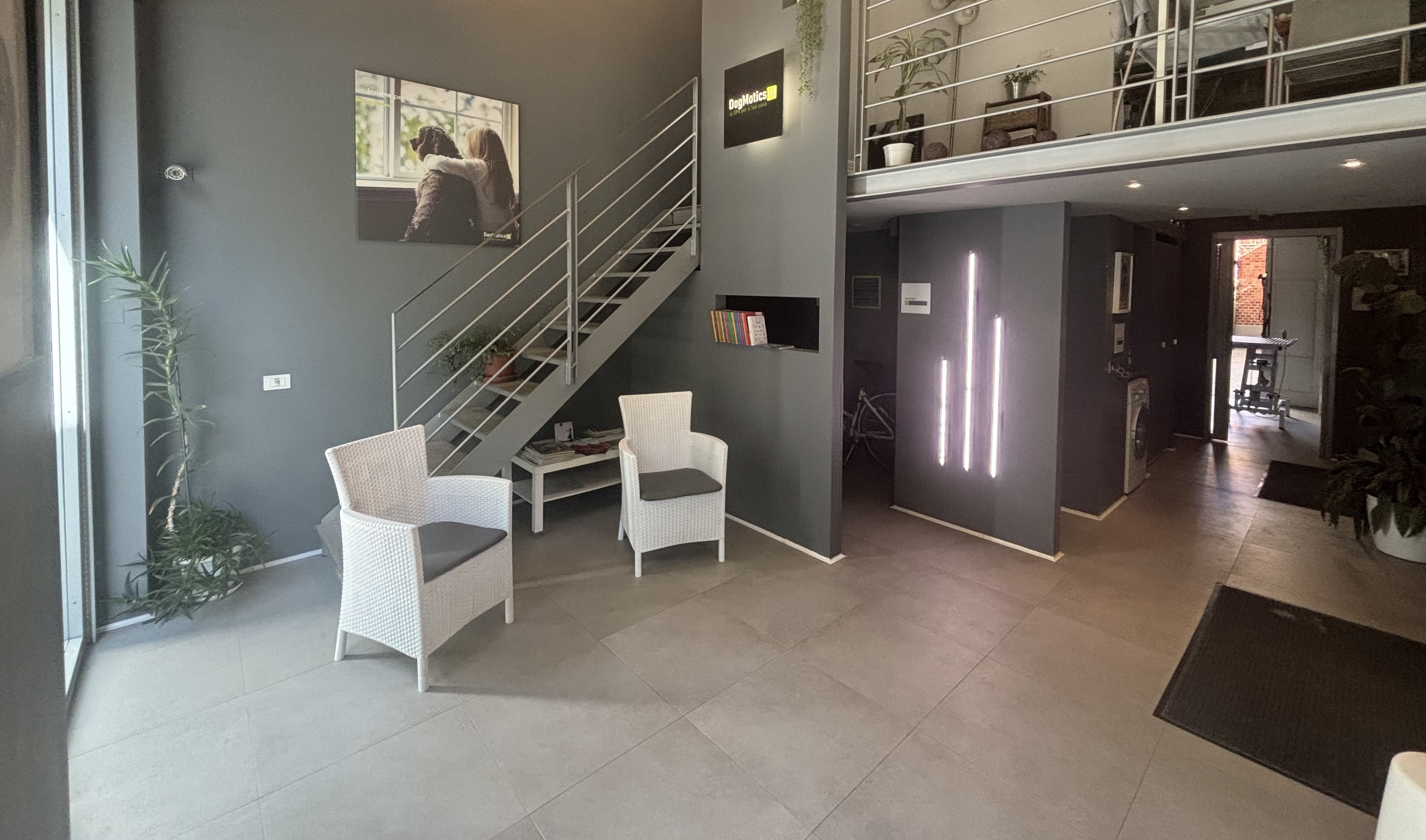 DogMotics Milano - reception