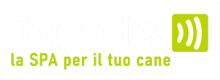 dogmotics.it
